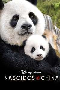 Born in China - Posters