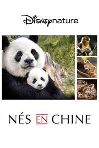 Born in China - Posters