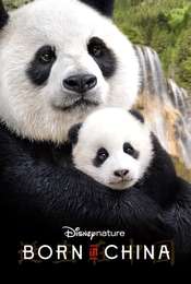 Born in China