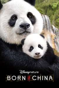 Born in China - Posters