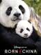 Born in China