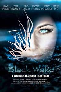 Black Wake - Poster