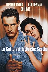 Cat on a Hot Tin Roof - Poster