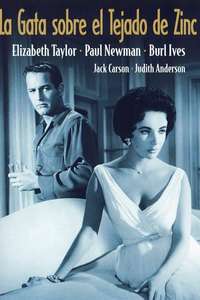 Cat on a Hot Tin Roof - Poster
