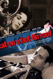 Cat on a Hot Tin Roof