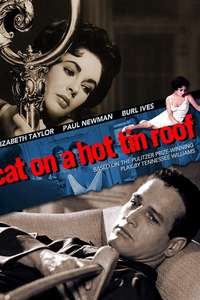 Cat on a Hot Tin Roof - Poster