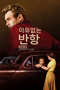 Rebel Without a Cause - Poster