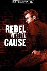 Rebel Without a Cause - Poster