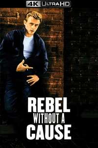Rebel Without a Cause - Poster