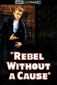 Rebel Without a Cause - Poster