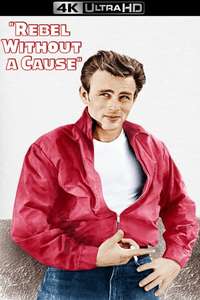 Rebel Without a Cause - Poster
