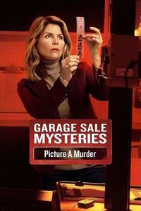 Garage Sale Mysteries: Picture a Murder - Poster