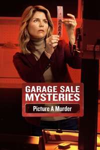 Garage Sale Mysteries: Picture a Murder - Poster