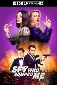 The Spy Who Dumped Me - Poster