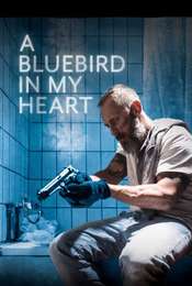 A Bluebird in My Heart