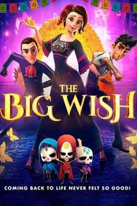Salma's Big Wish - Poster