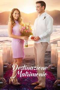 Destination Wedding - Poster
