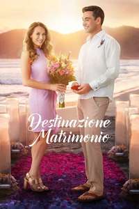 Destination Wedding - Poster