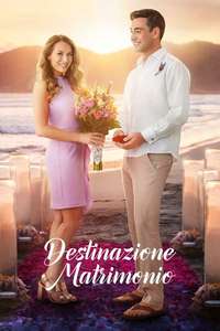 Destination Wedding - Poster