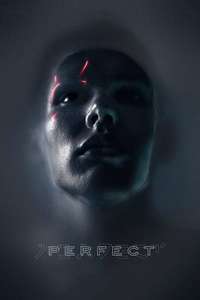 Perfect - Poster
