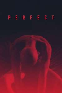 Perfect - Poster