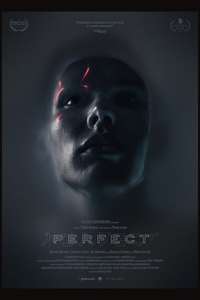 Perfect - Poster