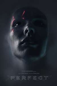 Perfect - Poster