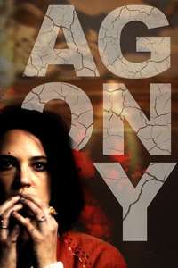 The Executrix - Poster