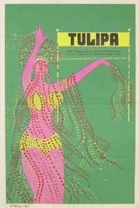 Tulipa - Poster