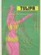 Tulipa