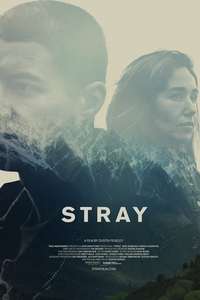 Stray - Poster