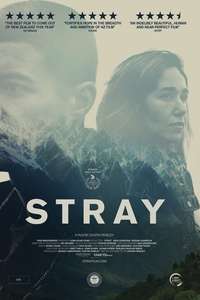 Stray - Poster