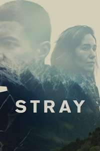 Stray - Poster