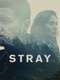 Stray