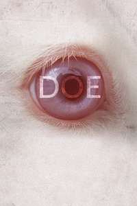 Doe - Posters