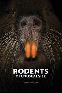 Rodents of Unusual Size - Poster