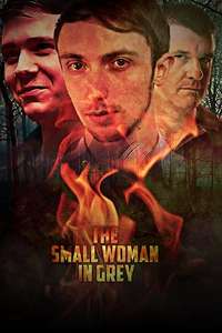 The Small Woman in Grey - Poster