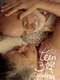 Teen Aur Aadha