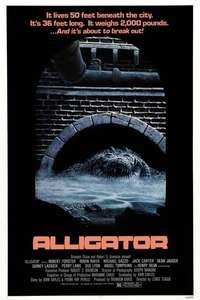 Alligator - Poster