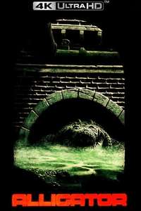Alligator - Poster