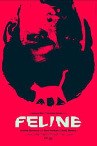 Feline - Poster