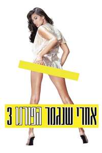 After Porn Ends 3 - Poster