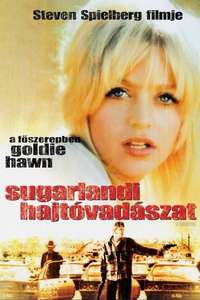 The Sugarland Express - Poster