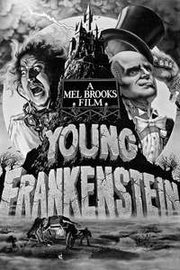 Young Frankenstein - Poster