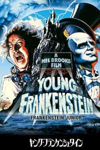 Young Frankenstein - Poster