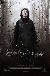 Corvidae - Poster
