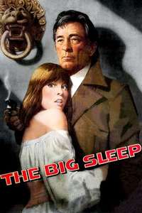 The Big Sleep - Poster