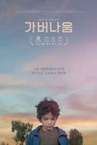 Capernaum - Poster