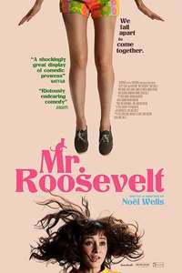 Mr. Roosevelt - Poster