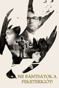 To Kill a Mockingbird - Poster